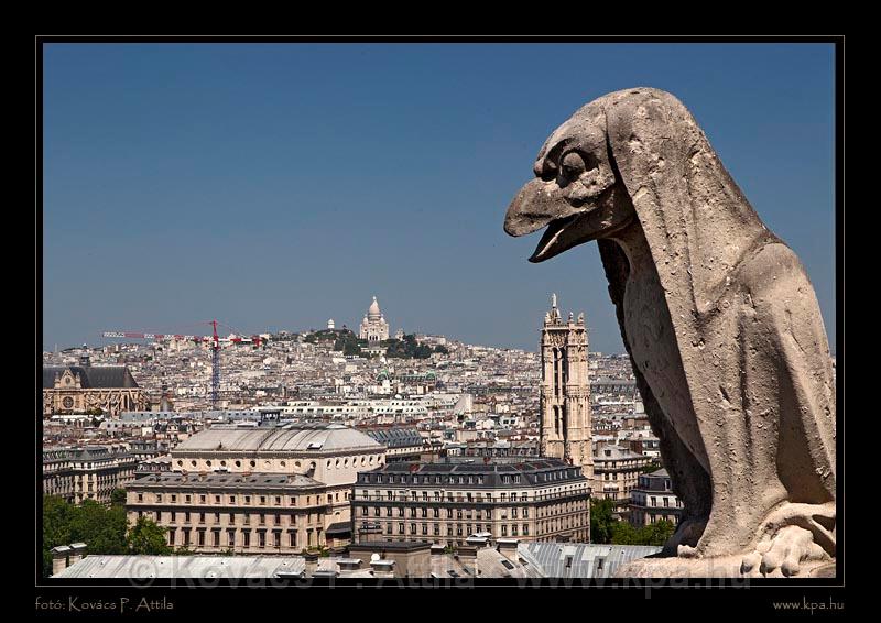Notre Dame 010.jpg